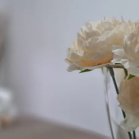 Giulia Apartment *